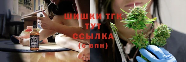 винт Лабытнанги