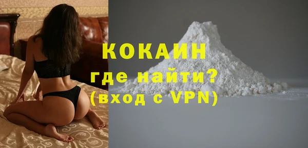 винт Лабытнанги