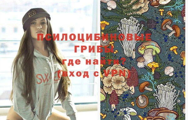 ПСИЛОЦИБИНОВЫЕ ГРИБЫ Ладушкин