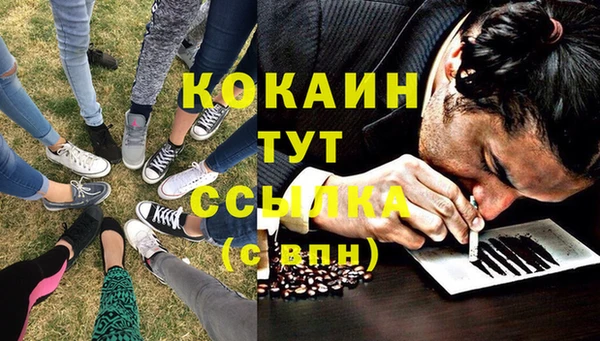 винт Лабытнанги