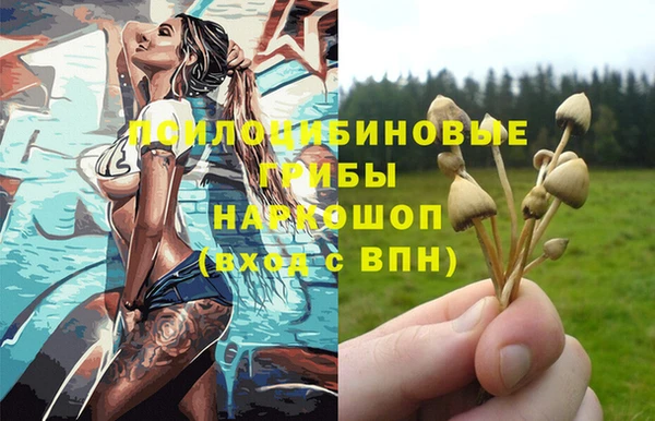 винт Лабытнанги