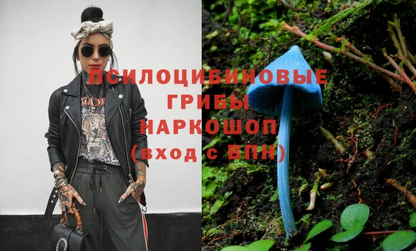 ПСИЛОЦИБИНОВЫЕ ГРИБЫ Ладушкин